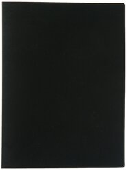 Calligrata Папка на 100 файлов А4, пластик 700 мкм, черный