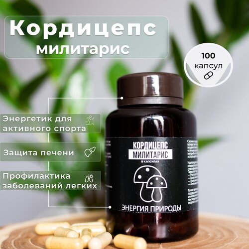 Кордицепс молотый 100 капсул