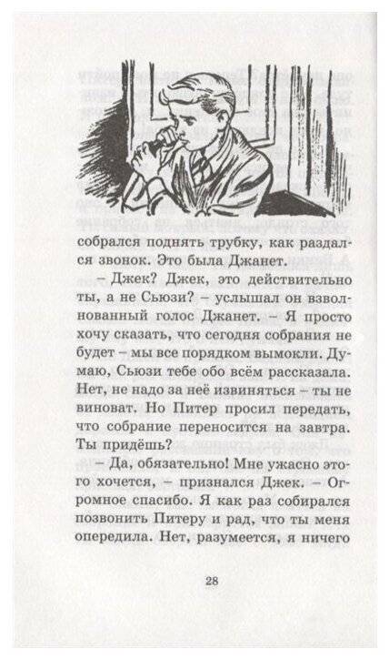 Дело о пропавших медалях (Шеррокс Барджесс (иллюстратор), Солнцева Ольга М. (переводчик), Блайтон Энид Мэри) - фото №3