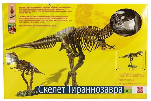 Набор для раскопок Edu Toys Скелет Тираннозавра, 1 эксперимент