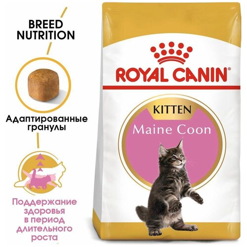 Корм для кошек Royal Canin Maine Coon Kitten Корм сухой сбалансированный для котят породы Мэйн Кун, 0,4кг