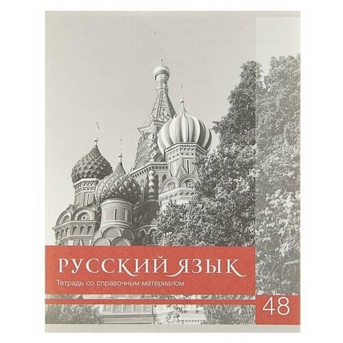 Calligrata Тетрадь Чёрное-белое Русский язык 3941489, линейка, 48 л., серый/красный