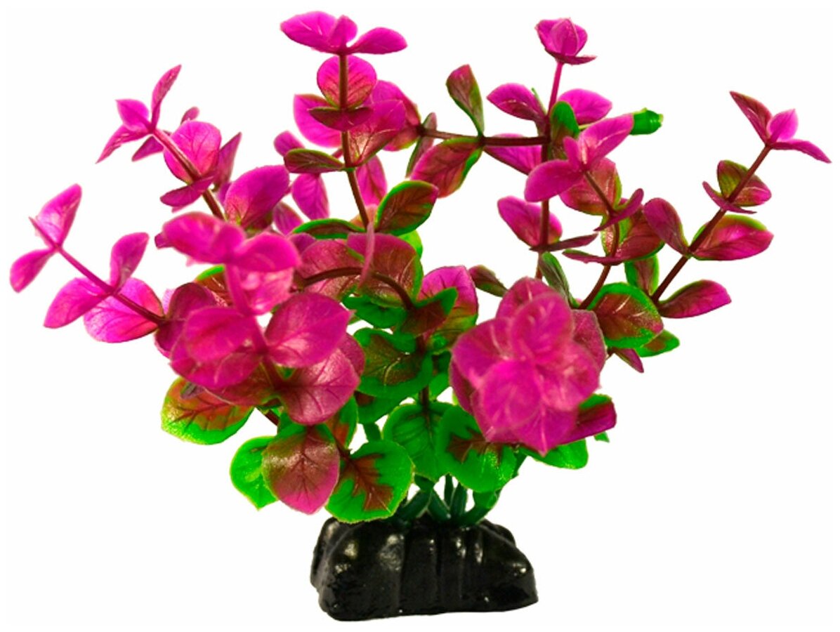 Искусственное растение BARBUS Бакопа красная 10 см зеленый/фиолетовый - фотография № 2