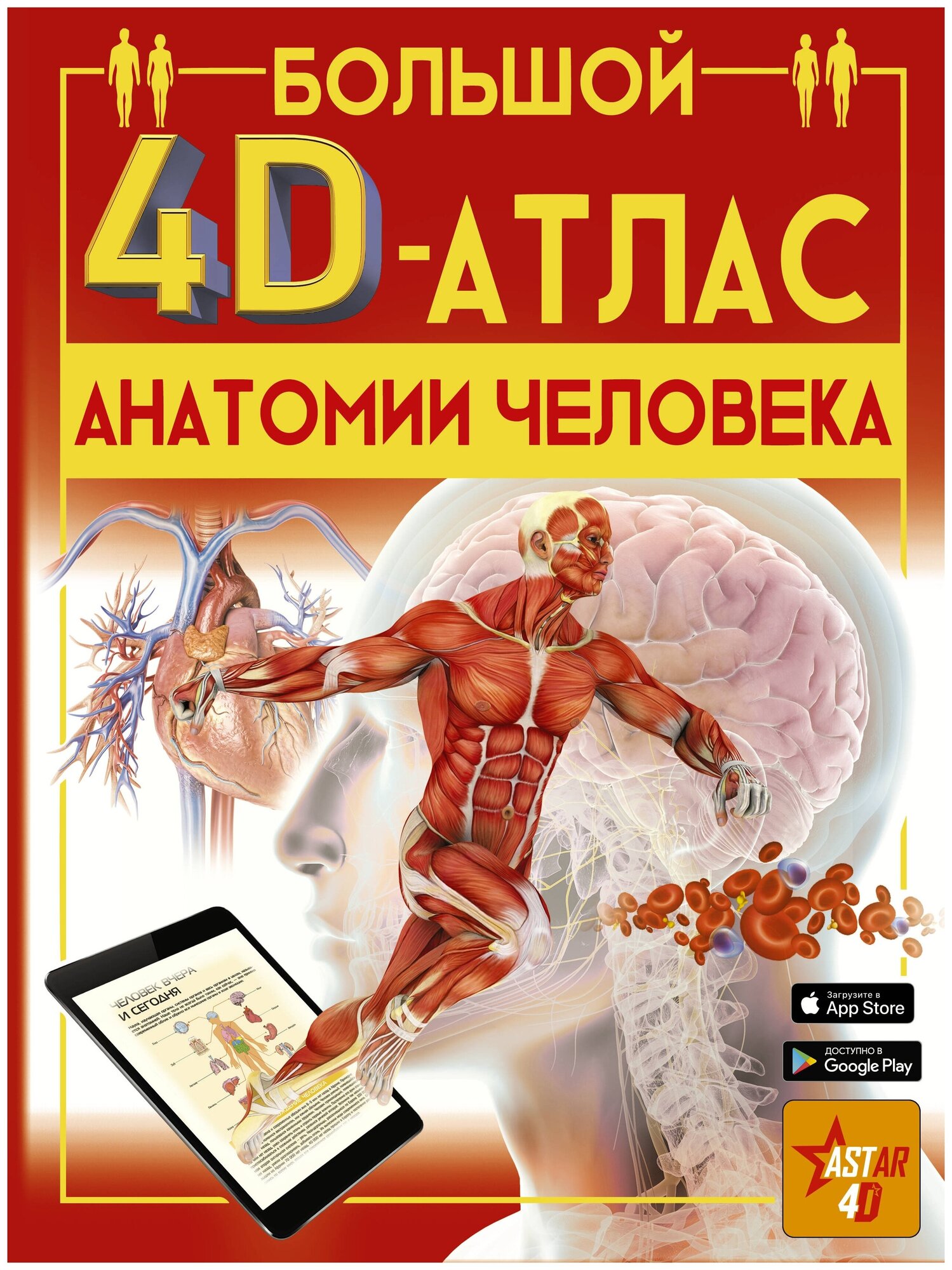 Большой 4D-атлас анатомии человека - фото №1