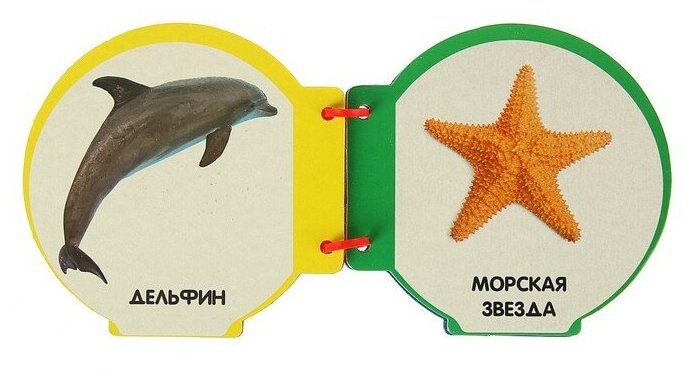 Книжка с ручкой. Кто живет в море - фото №2