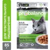 Влажный корм для кошек ProBalance при чувствительном пищеварении (кусочки в соусе) - изображение