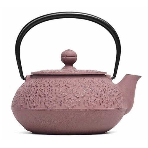 фото Чугунный чайник iwachu для чайной церемонии 0,65л светло-коричневый