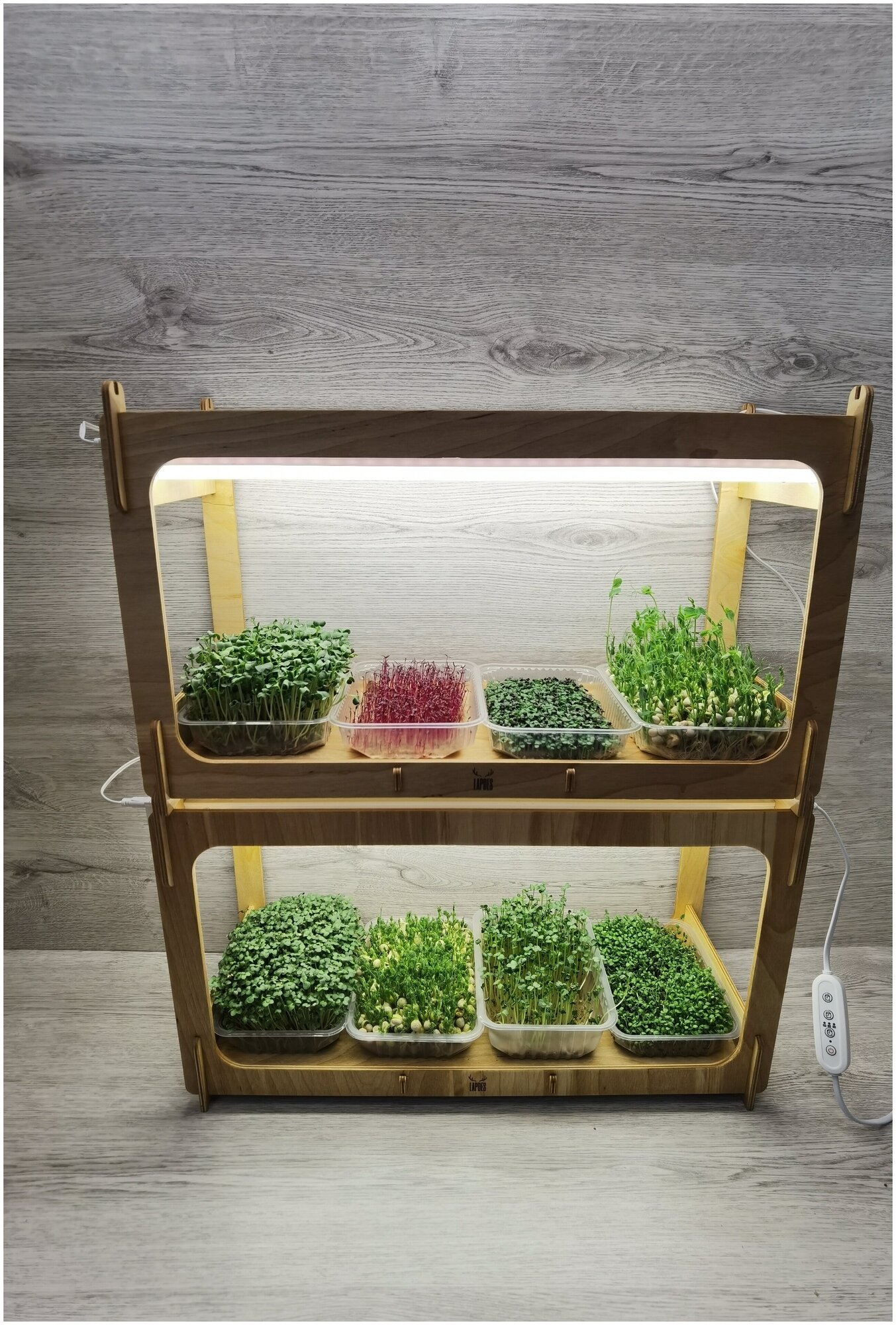 Подставка для выращивания микрозелени и рассады - фотография № 5