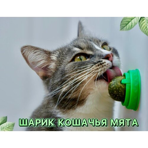 Кошачья мята, вращающийся шарик леденец конфета с кошачьей мятой, мятная игрушка для кошек , лакомство для кошки