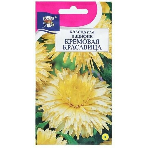 Семена цветов Календула красавица Кремовая, 0,5 г 12 упаковок