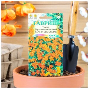 Семена цветов "Гавриш" Бархатцы "Карина оранжевая", тонколистные, 0,05 г (2 шт)