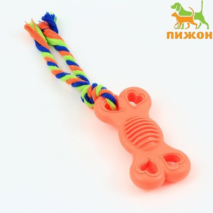 Игрушка жевательная с канатом Косточка на привязи, 9,5 см, розовая 1 шт