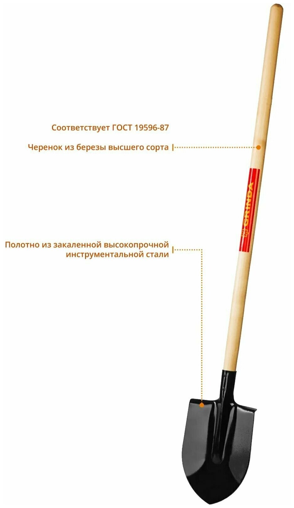 Лопата штыковая, деревянный черенок, GRINDA - фотография № 12
