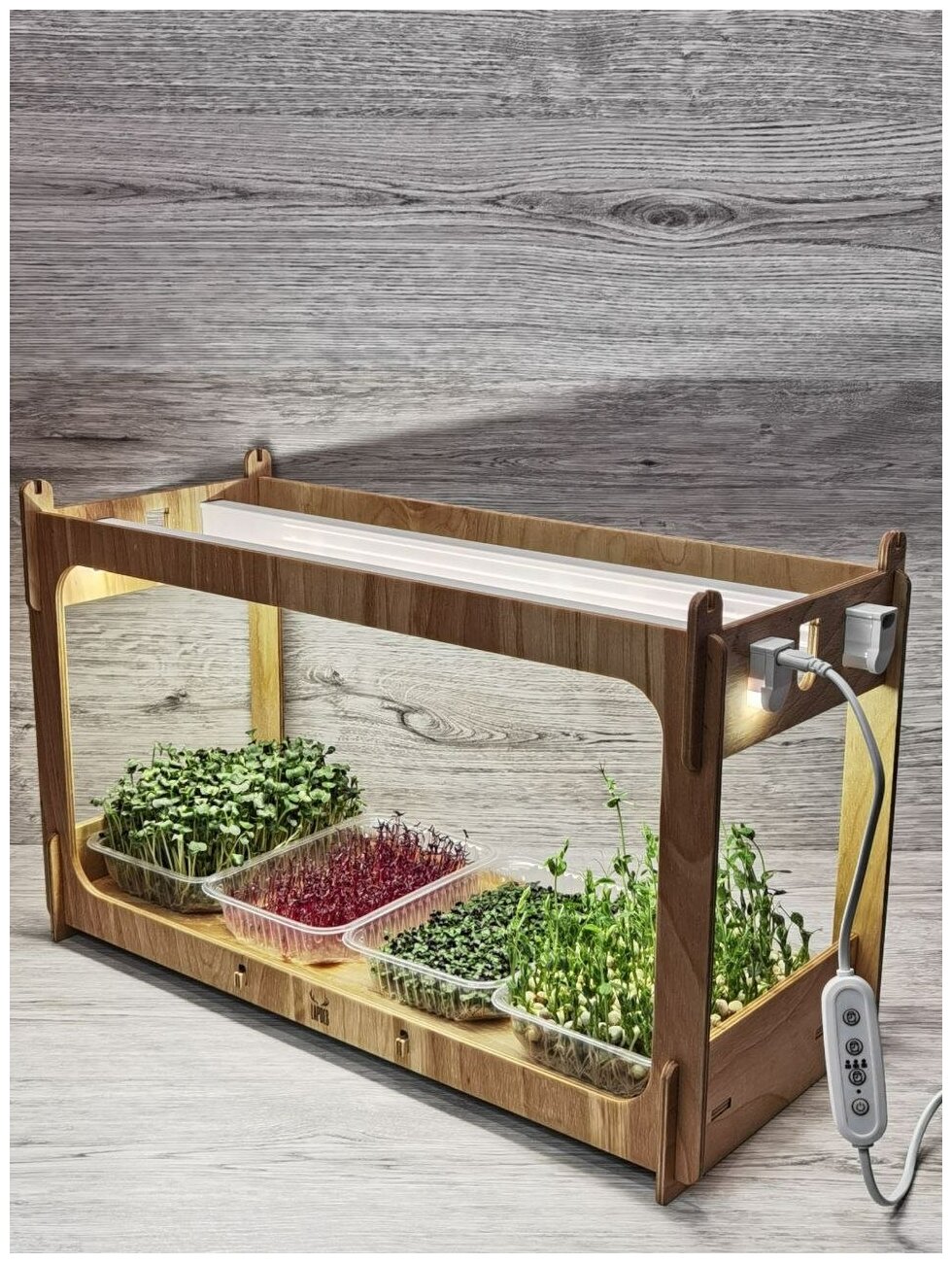 Подставка для выращивания микрозелени и рассады - фотография № 2