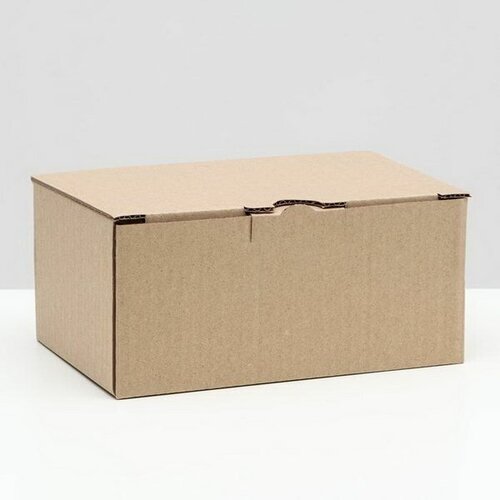 Коробка-пенал, бурая, 22 x 15 x 10 см, 3 шт.