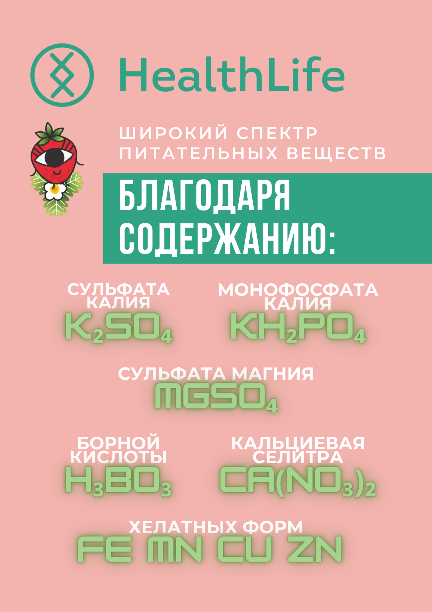 Комплекс HealthLife Универсальное удобрение А+В для клубники цветение плодоношение (2х250 мл) для гидропоники и грунта — фото 1