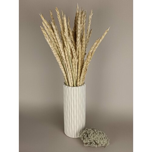 Ваза для сухоцветы - Onda