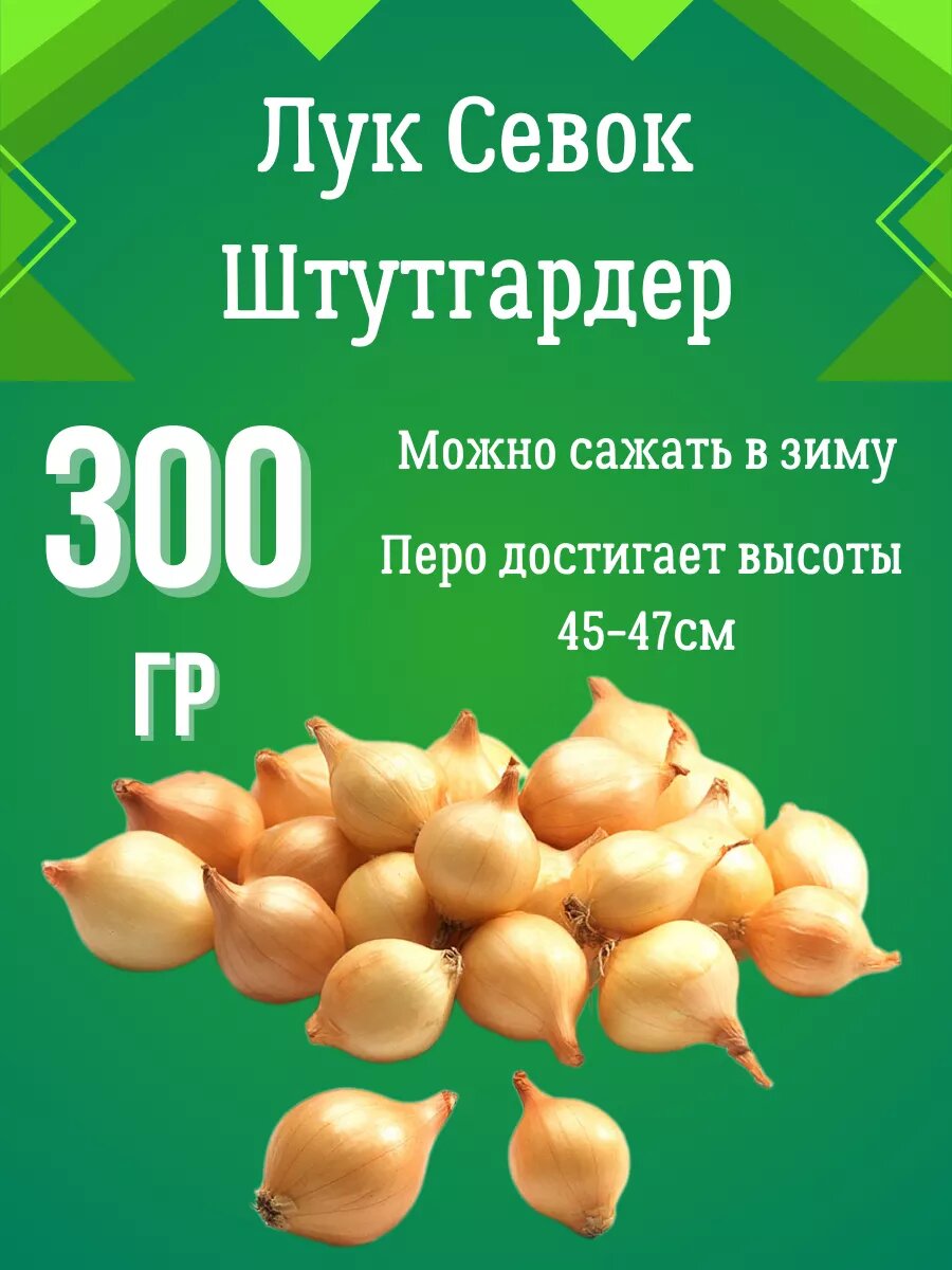 Лук севок Штутгартер Ризен 300гр.