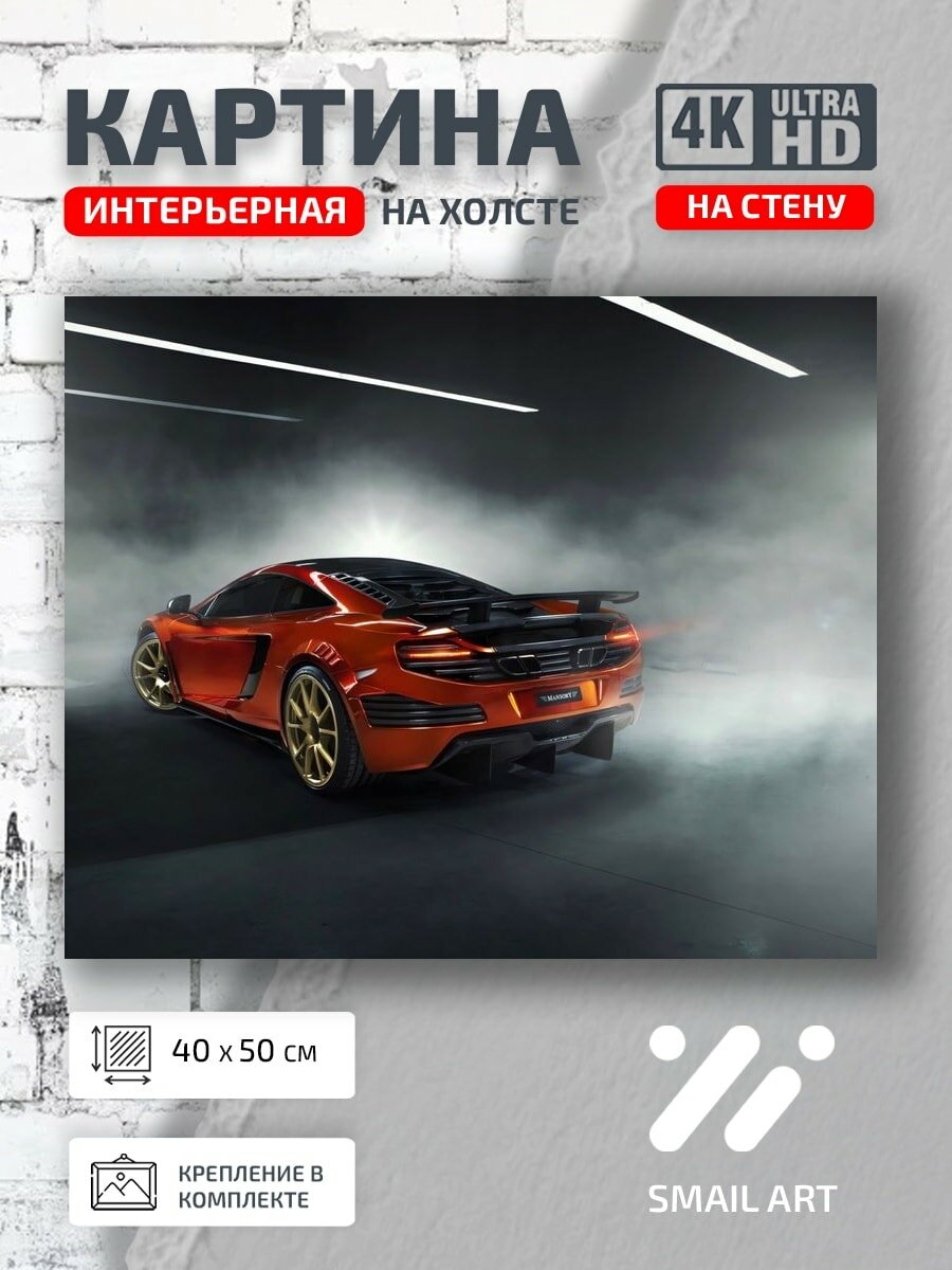 Картина на холсте интерьерная 40 на 50 на стену MP4-12C Mansony для кабинета атмосфера