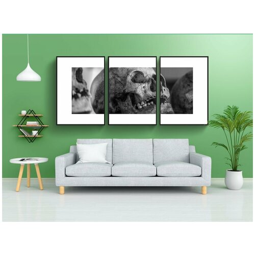 фото Набор модулных постеров для интерьера "череп, старый, человеческий череп" 60x90 см. в тубусе, без рамки lotsprints