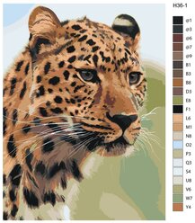 Картина по номерам Н36 Леопард, 30х40 см