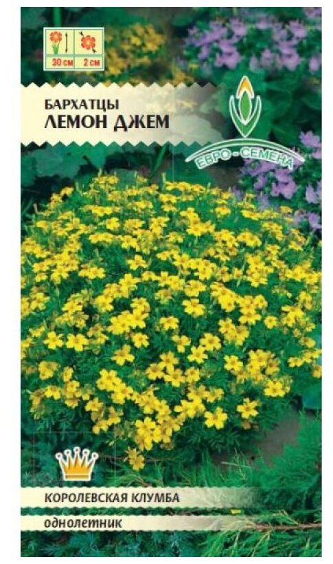 Бархатцы Лемон Джем ~ 20 семян (0,2 гр)