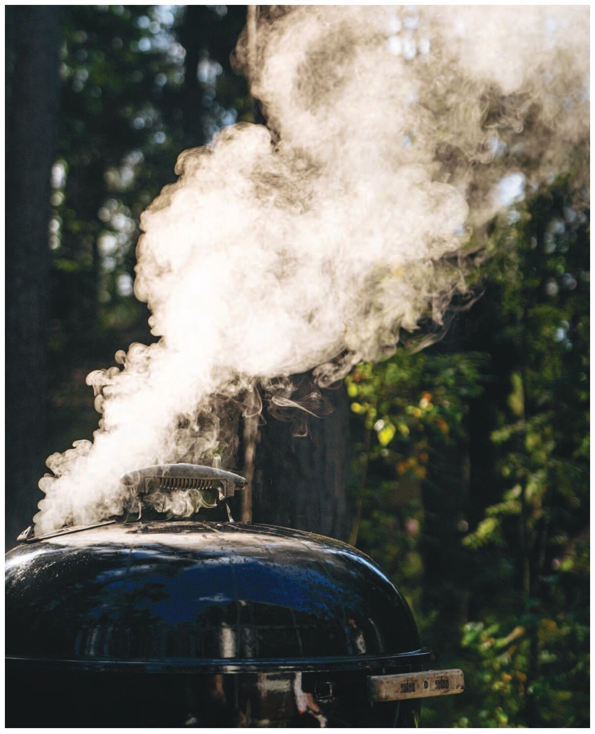 Smoke BBQ Кухня живого огня (Буров Алексей Анатольевич, Каневский Алексей Дмитриевич) - фото №8
