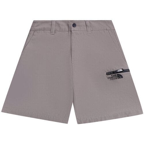 Шорты The North Face Men's Cargo Shorts Mineral Grey / 28