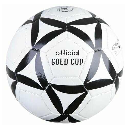 Мяч Футбол №5 Т18135