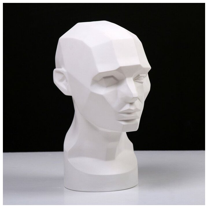Мастерская Экорше Гипсовая фигура анатомическая: обрубовка головы по Асаро, 17 х 23 х 33,5 см