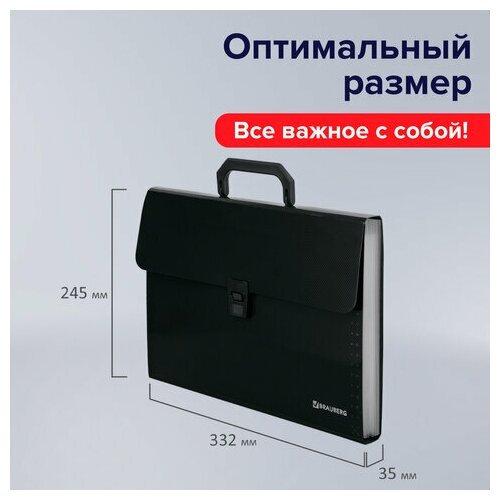 Папка-портфель пластиковая BRAUBERG А4 , 13 отделений, фактура диагональ, черная - фотография № 20