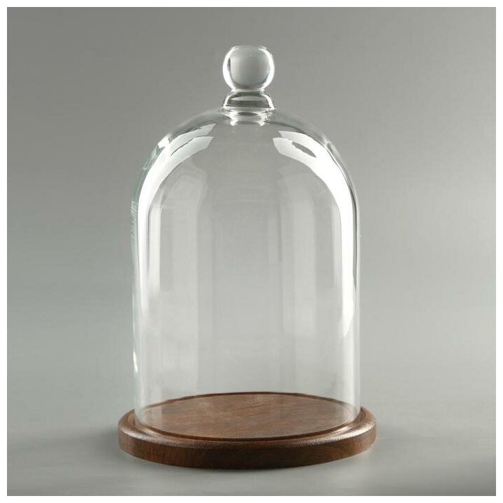 фото Стеклянный купол-клош с шариком на подставке "Родрик", 24х15 см, стекло, коричневый