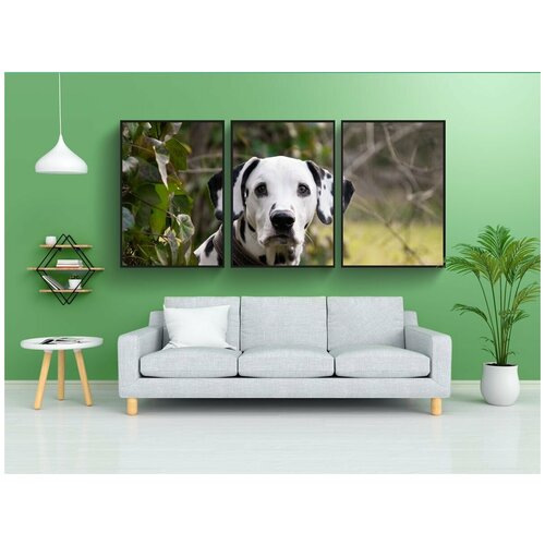 фото Набор модулных постеров для интерьера "животное, млекопитающее, собака" 60x90 см. в тубусе, без рамки lotsprints