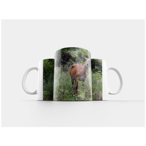 фото Кружка "нилгаи, антилопа, boselaphus tragocamelus" 320 мл lotsprints