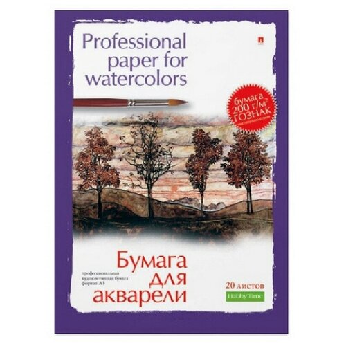 бумага для рисования папка для рисования гуашью акрилом акварелью 20л а5 148х210 200гр 4 109 Папка для рисования акварелью А3,20л,блок гознак 200гр 4-020 дизайн в ассор