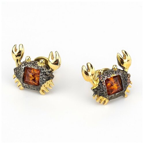 фото Серьги amberprofi, серебро, 925 проба, золочение, янтарь амберпрофи