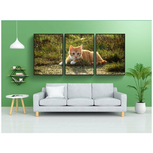 фото Набор модулных постеров для интерьера "кот, котенок, красный полосатый" 60x90 см. в тубусе, без рамки lotsprints