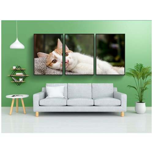 фото Набор модулных постеров для интерьера "кошка, котенок, домашняя кошка" 60x90 см. в тубусе, без рамки lotsprints