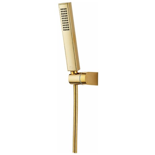 Душевой гарнитур Laveo Pola NAP_G0AD золото