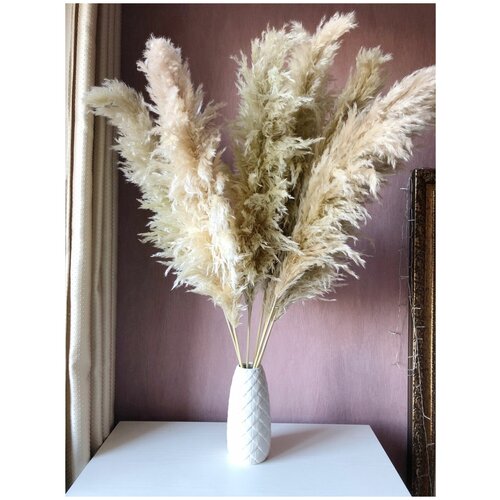 Сухоцветы для декора и флористики камыш натуральный, высота 70-75см