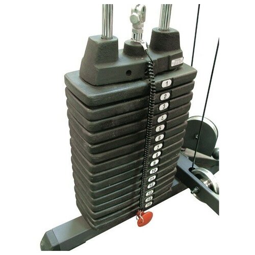 фото Груз к стеку body solid sp50 body-solid
