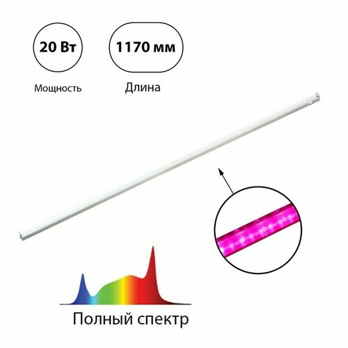 INhome Фитосветильник светодиодный, 20 Вт, 1170 мм, IP20, полный спектр, фиолетовый, СПБ-Т5-ФИТО, IN HOME