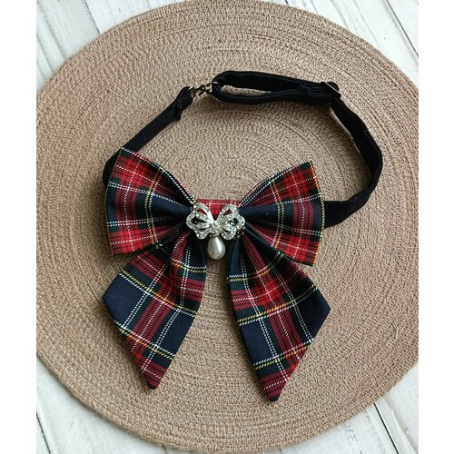 Бабочка , синий, красный