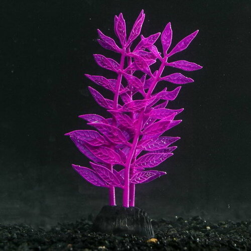 Растение силиконовое аквариумное, светящееся в темноте, 8 x 15 см, фиолетовое