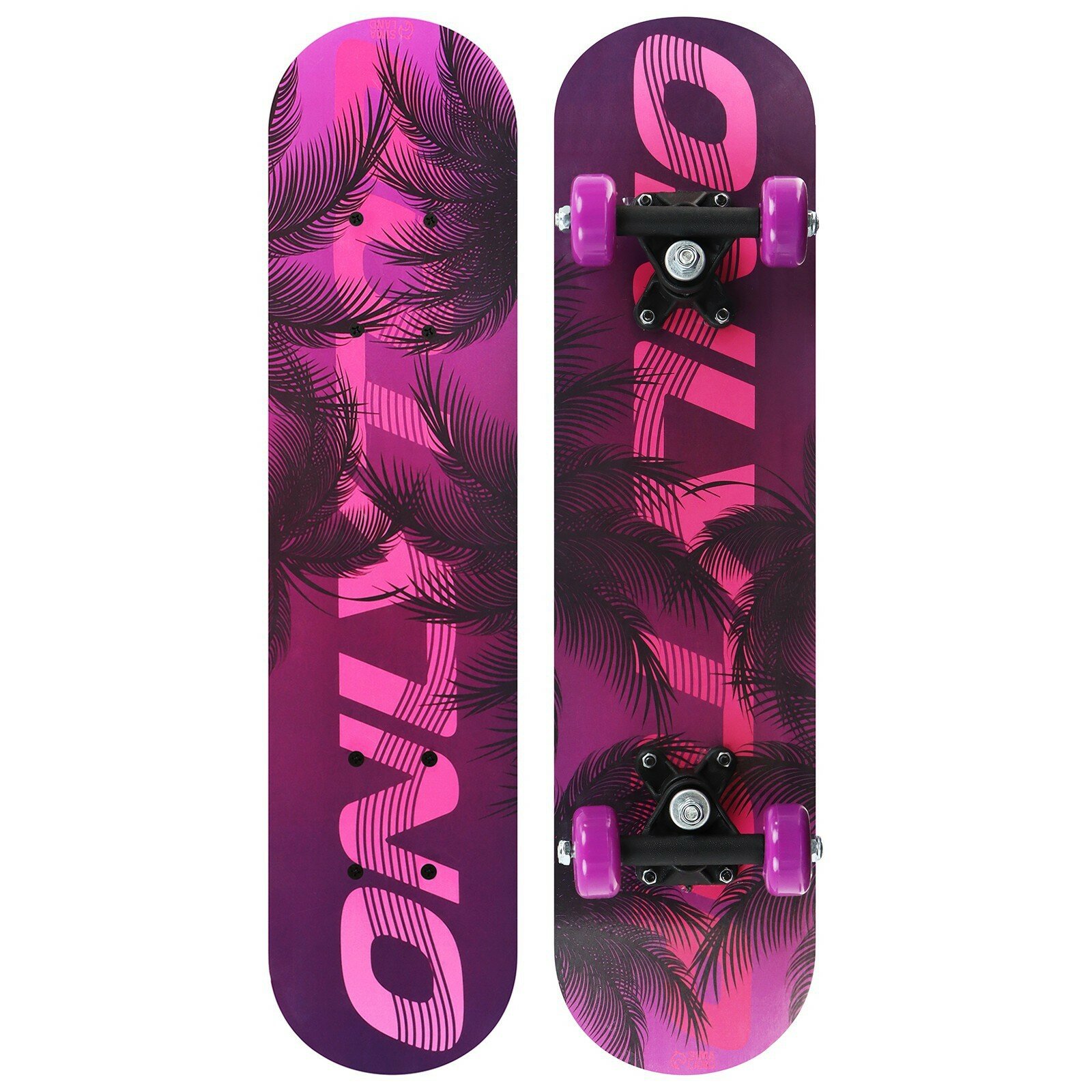 Картинки Скейтборд подростковый 62 × 16 см, колёса PVC 50 мм, пластиковая рама, 4636094