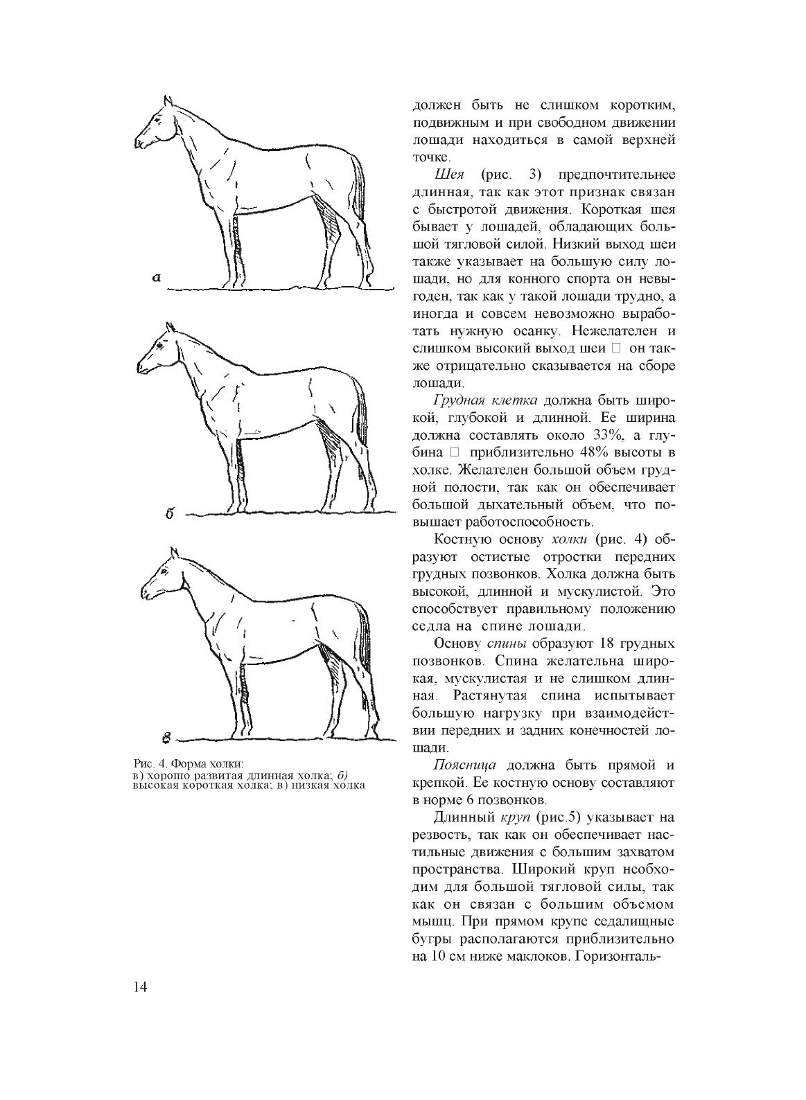 Конный спорт. Пособие для тренеров, преподавателей, коневодов и спортсменов - фото №10