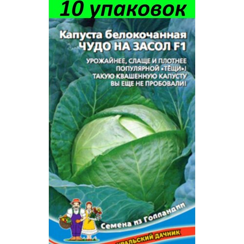 Семена Капуста белокочанная F1 10уп по 0.3г (УД)