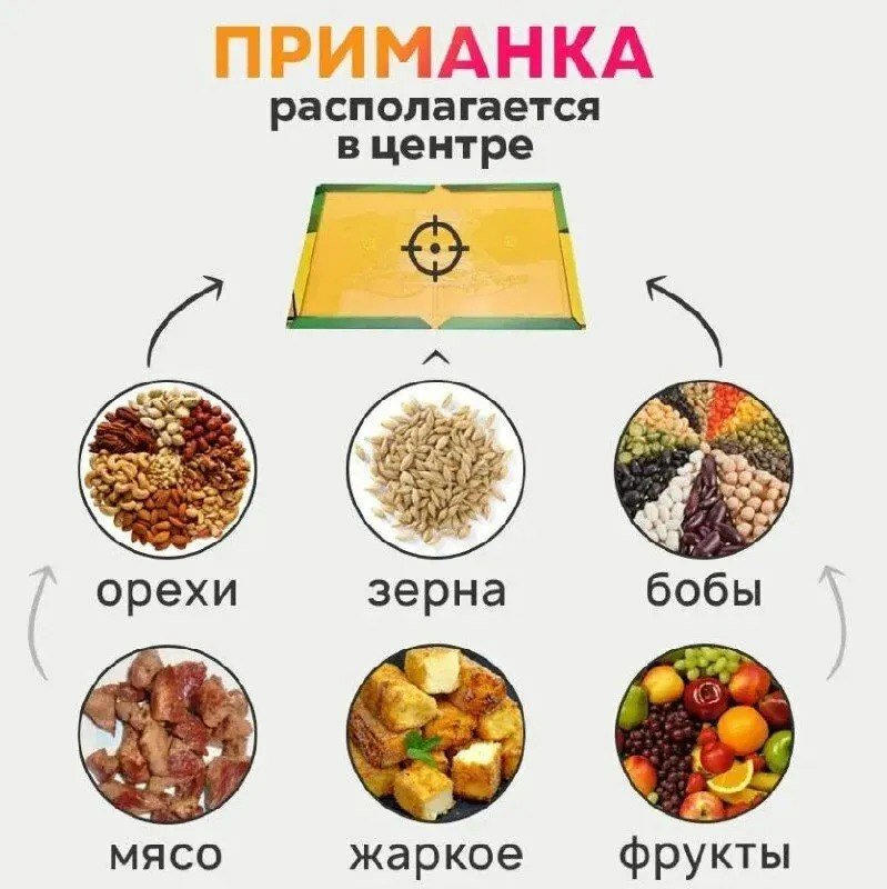 "Картонная ловушка для мышей и крыс" - клейкая лента-книжка 21 х 32 см — фото 4