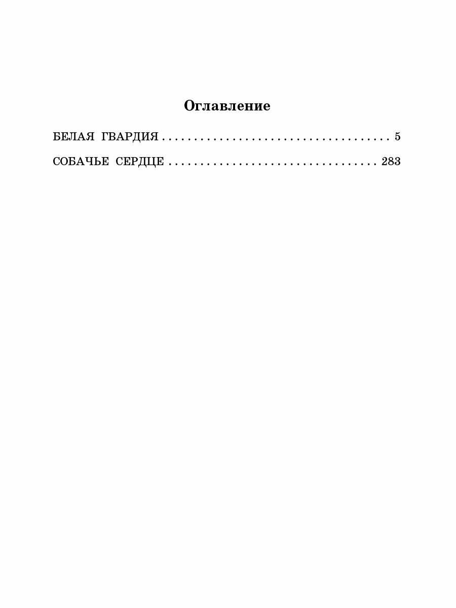 Белая гвардия (Булгаков Михаил Афанасьевич) - фото №8