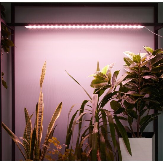 Cветильник для растений Uniel ФитоЛето ULZ P04 14W SPLE IP65 CLEAR